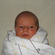 3q-4 days old