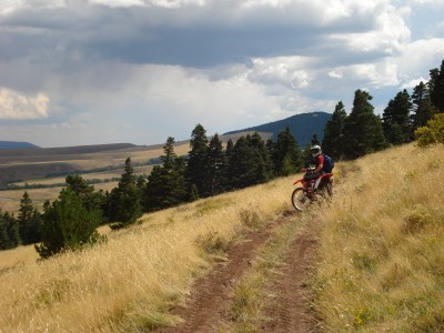 Clearly Seen - trail ride
