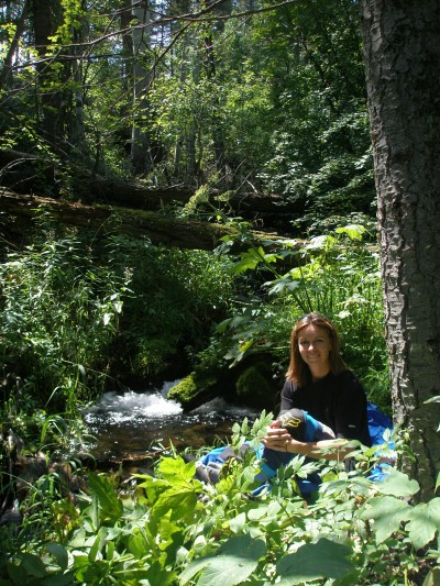 Clearly Seen - stream