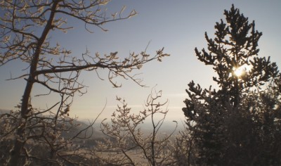 Clearly Seen - Cold Day