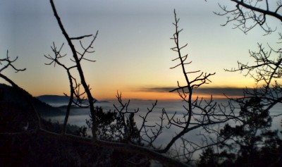 Clearly Seen - Sunrise
