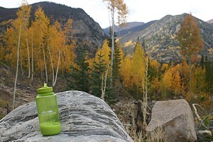 wwb-frisco-aspen-1