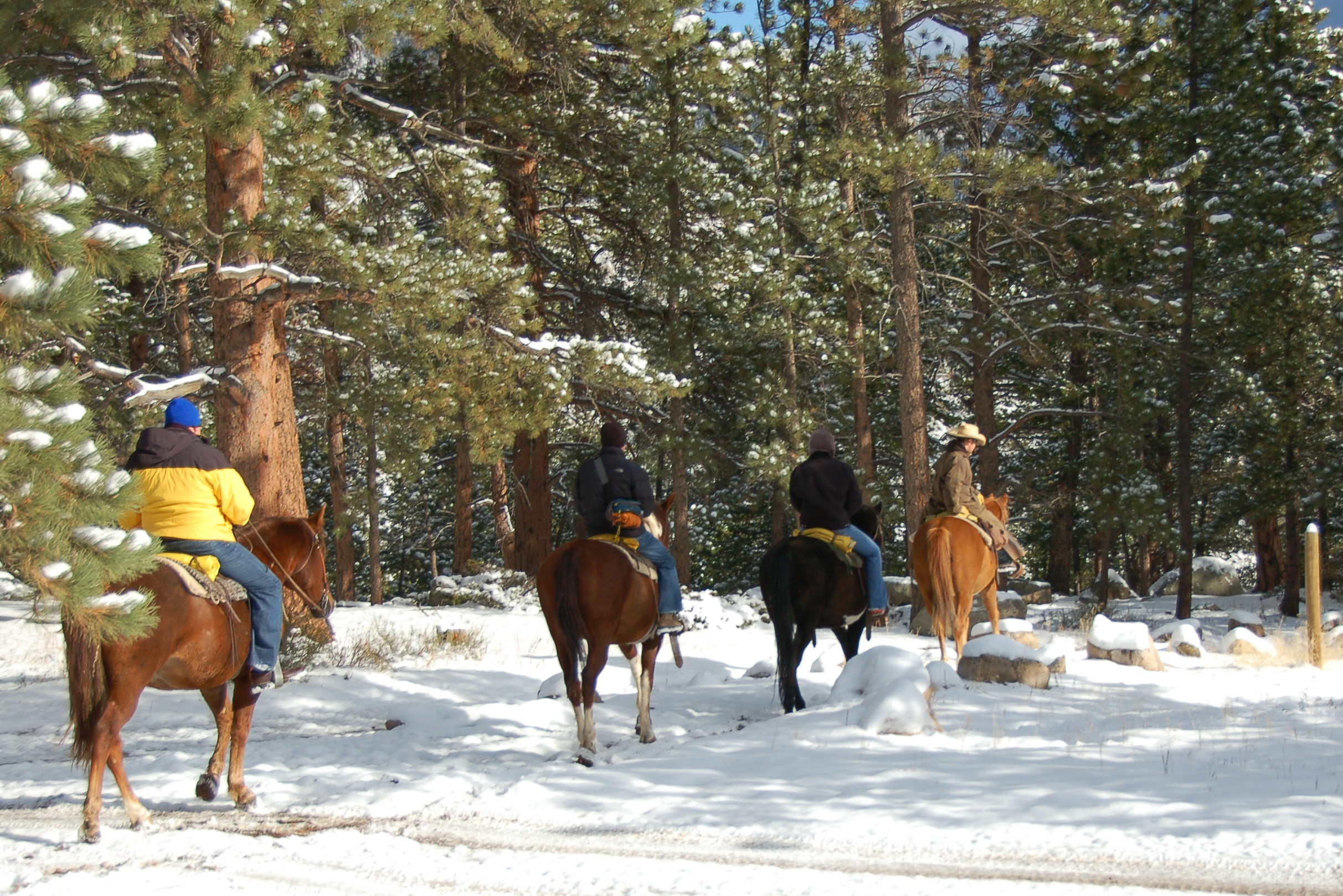 HorsebackRiding