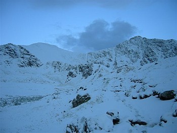 wwb-grays-torreys-2b