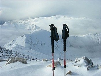wwb-grays-torreys-2f