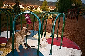 wwb-At the park