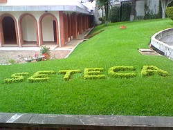 welch-seteca welch-seteca